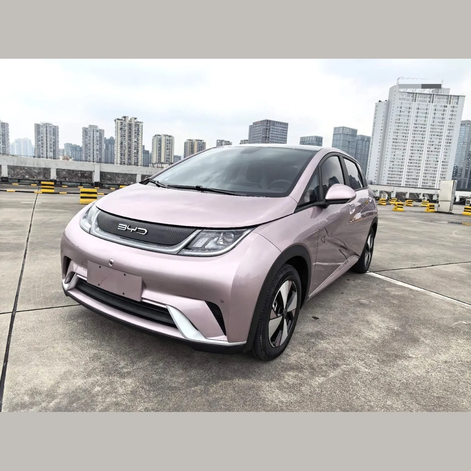 BYD Dolphin