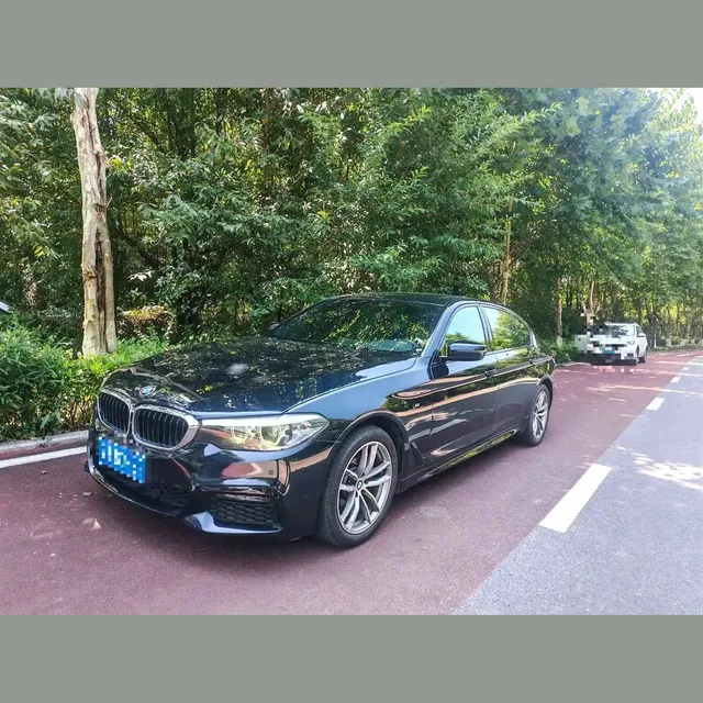 BMW 5 Series 2019 2.0T Automatic