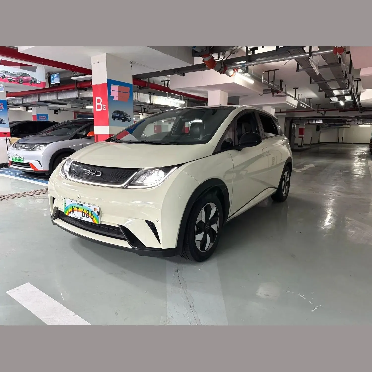 BYD Dolphin