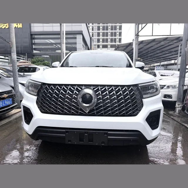 Great Wall Poer 2024